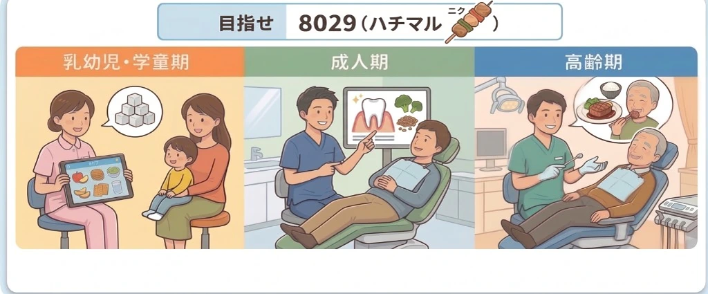 目指せ8029（ハチマル肉）。乳幼児・学童期、成人期、高齢期を通じた口腔機能の維持・向上のイメージ
